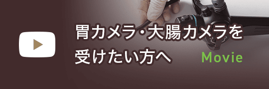 内視鏡説明動画