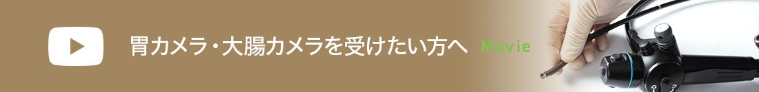 内視鏡説明動画