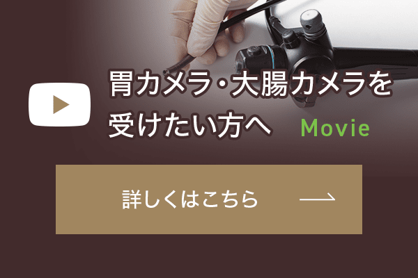 内視鏡説明動画